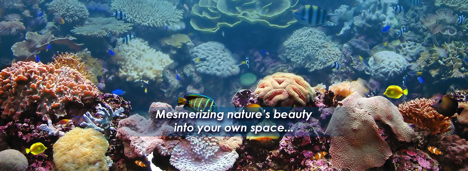 Mesmerizing nature's beauty into your own space