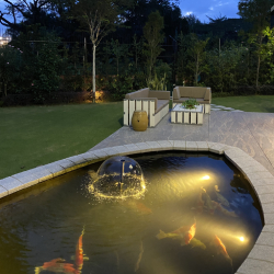 Koi Pond