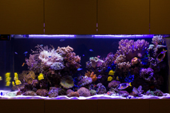 full height carpentry tank