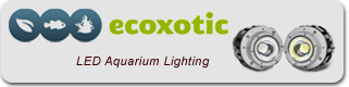 Ecoxotic